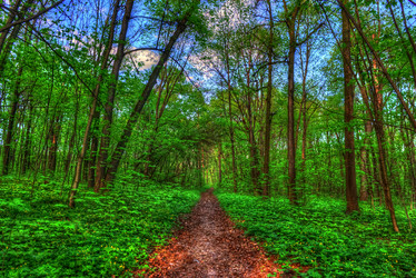 Similar image 13131333