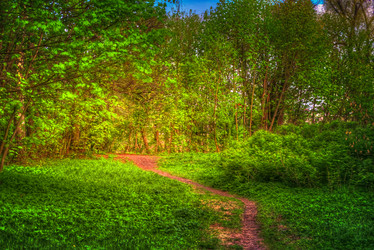 Similar image 13131348