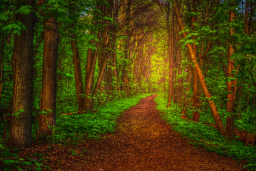 Similar image 13131349