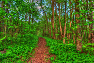 Similar image 13131352