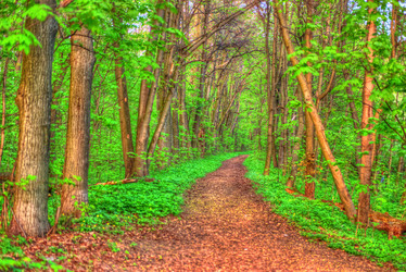 Similar image 13131373