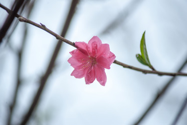 Similar image 13131538