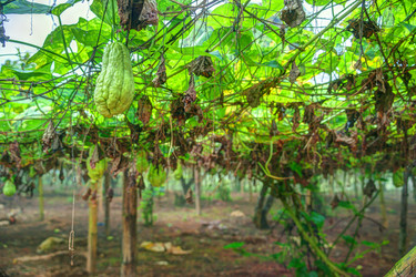 Similar image 13131638