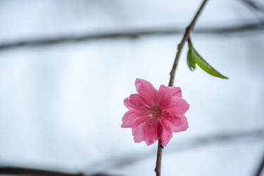 Similar image 13131735