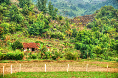 Similar image 13131736