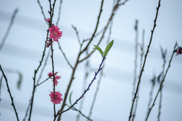 Similar image 13131737