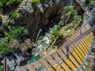 Similar image 13131738