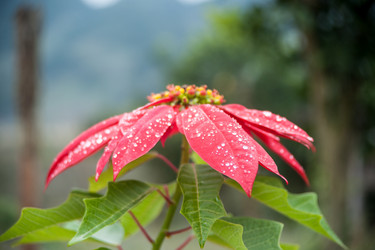 Similar image 13131757