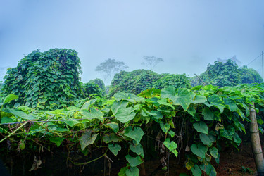 Similar image 13131773