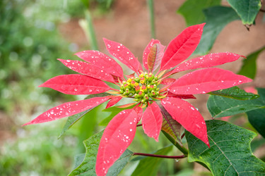 Similar image 13131774