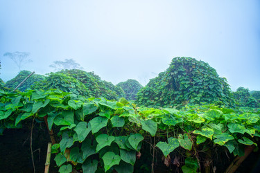 Similar image 13131775