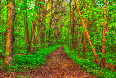 Similar image 13131832