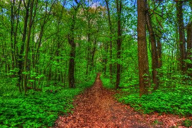 Similar image 13131848