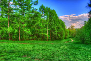 Similar image 13131851