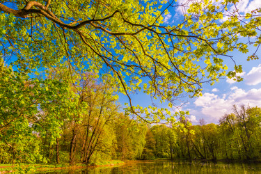 Similar image 13131853