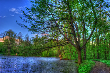 Similar image 13131854