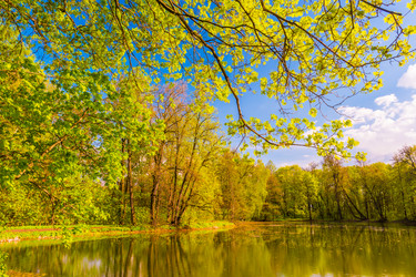 Similar image 13133568