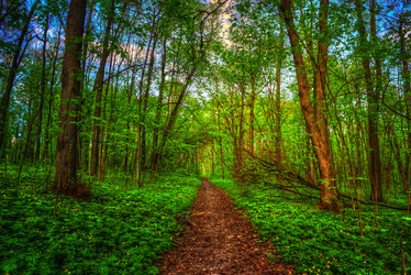 Similar image 13131124