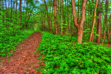 Similar image 13131125