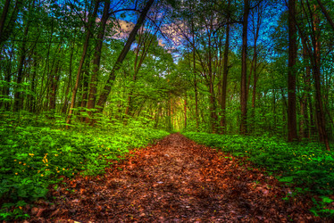 Similar image 13131126