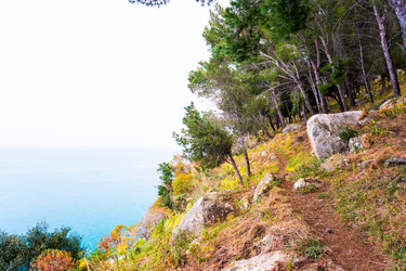 Similar image 13131296