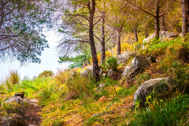 Similar image 13131336