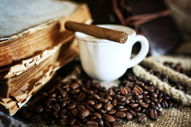 Similar image 13146030