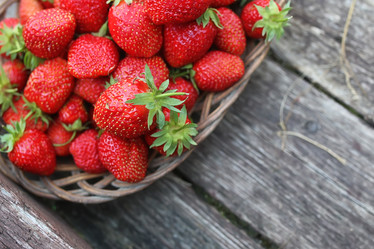 Similar image 13146050