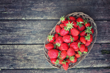 Similar image 13146069