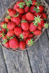 Similar image 13146089