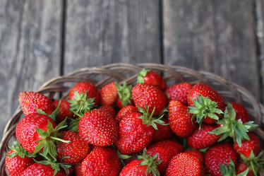 Similar image 13146129