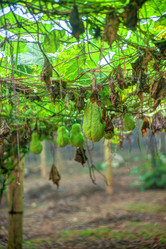 Similar image 13136287