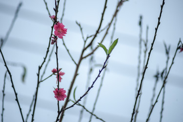 Similar image 13136384