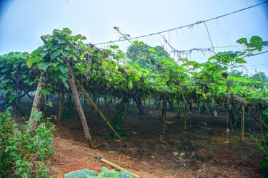 Similar image 13136482