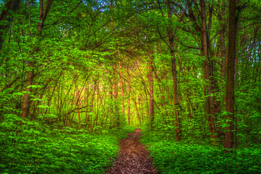 Similar image 13136870