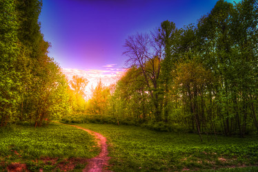 Similar image 13136907