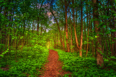 Similar image 13137063