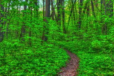 Similar image 13137022