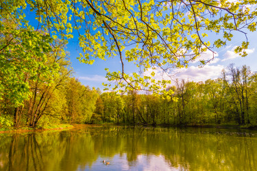 Similar image 13137253