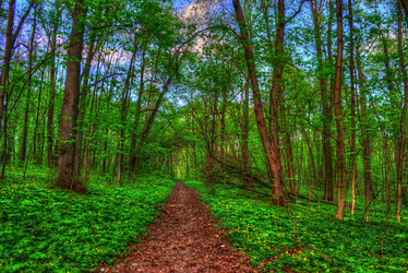 Similar image 13137330