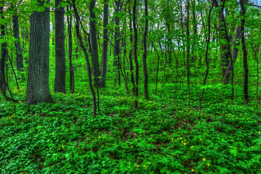 Similar image 13137369