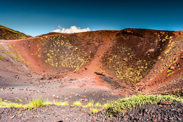 Similar image 13135509