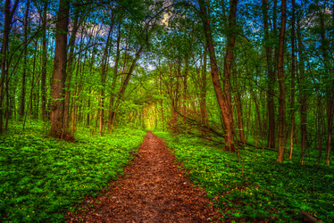 Similar image 13135547