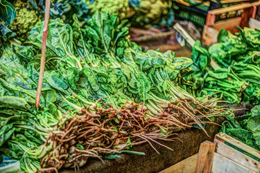 Similar image 13137254