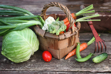 Similar image 13146368