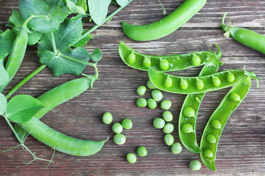 Similar image 13146576