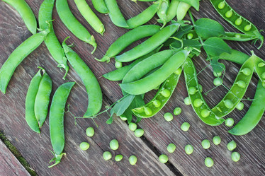 Similar image 13146169