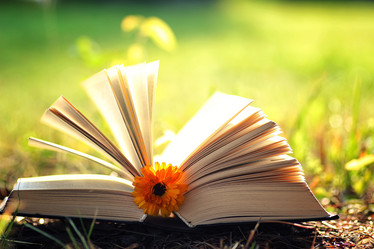 Similar image 13146210