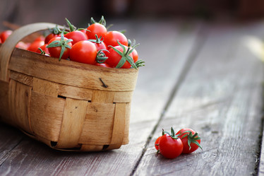 Similar image 13146328