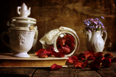 Similar image 13145972